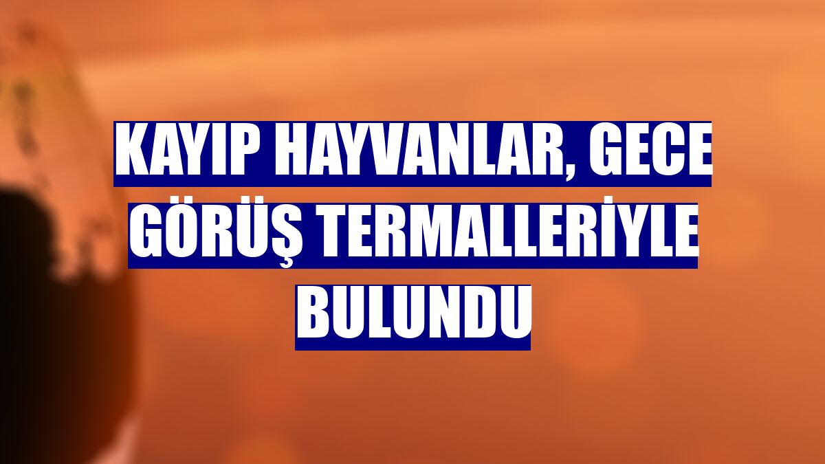 Kayıp hayvanlar, gece görüş termalleriyle bulundu
