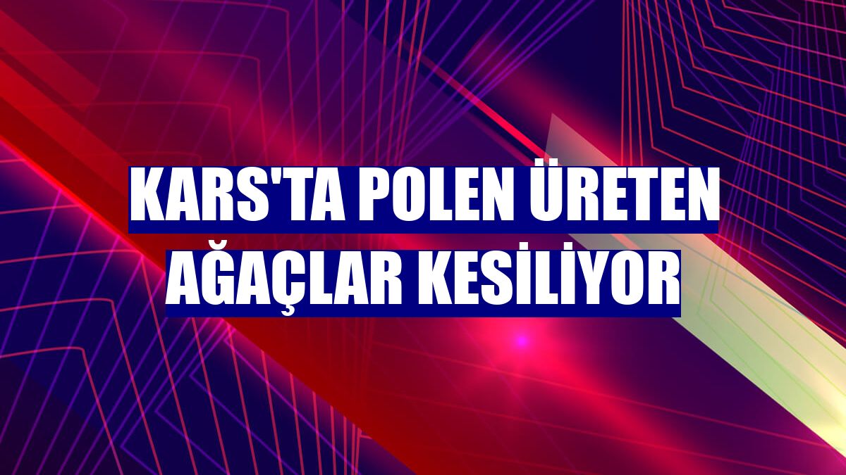 Kars'ta polen üreten ağaçlar kesiliyor