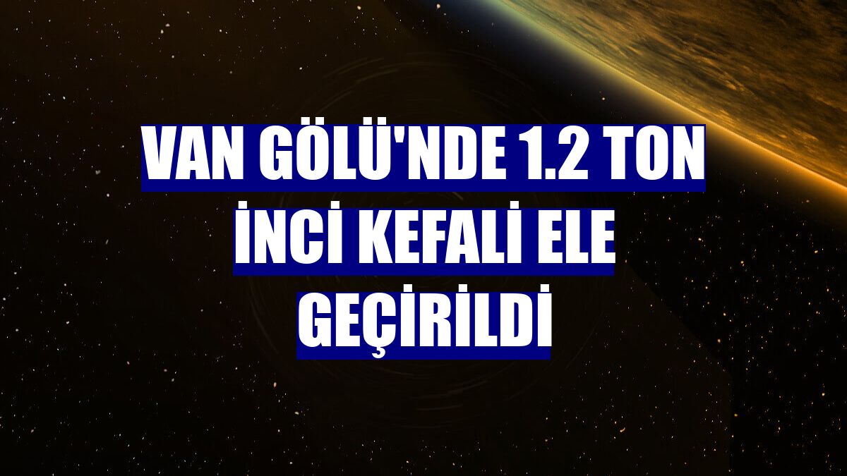 Van Gölü'nde 1.2 ton inci kefali ele geçirildi
