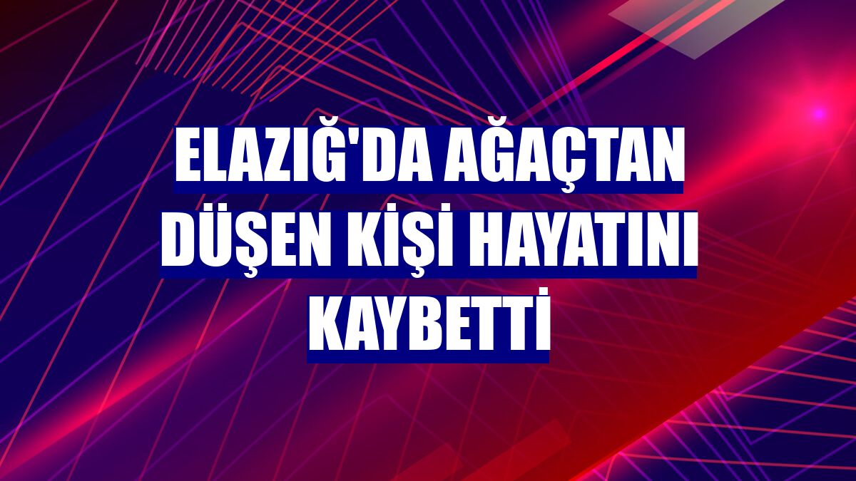 Elazığ'da ağaçtan düşen kişi hayatını kaybetti