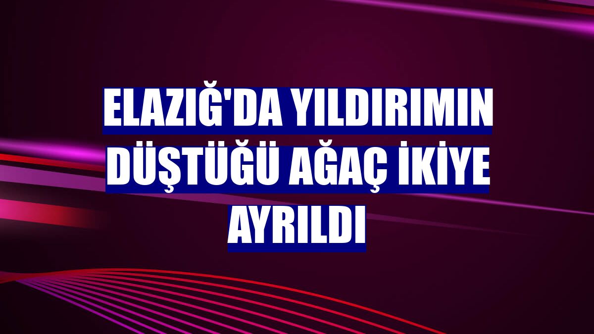 Elazığ'da yıldırımın düştüğü ağaç ikiye ayrıldı