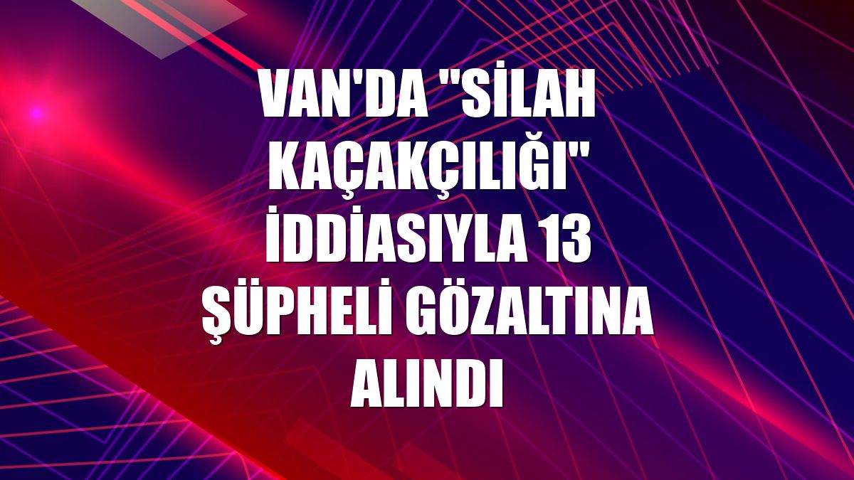 Van'da "silah kaçakçılığı" iddiasıyla 13 şüpheli gözaltına alındı