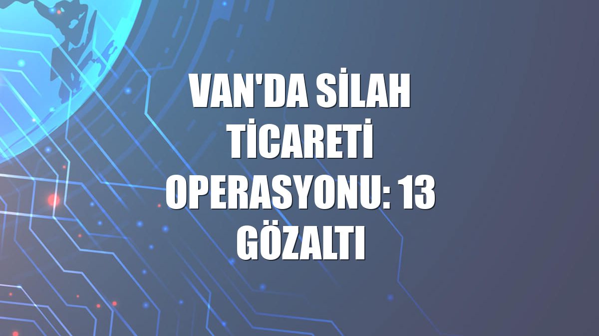 Van'da silah ticareti operasyonu: 13 gözaltı