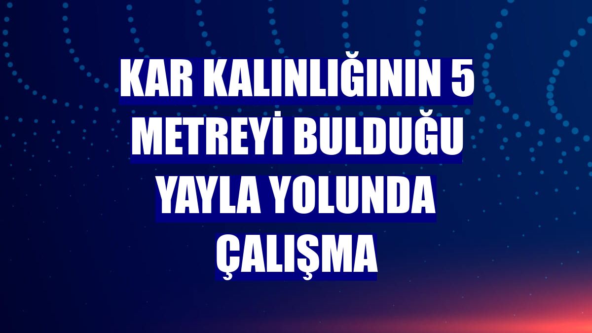 Kar kalınlığının 5 metreyi bulduğu yayla yolunda çalışma