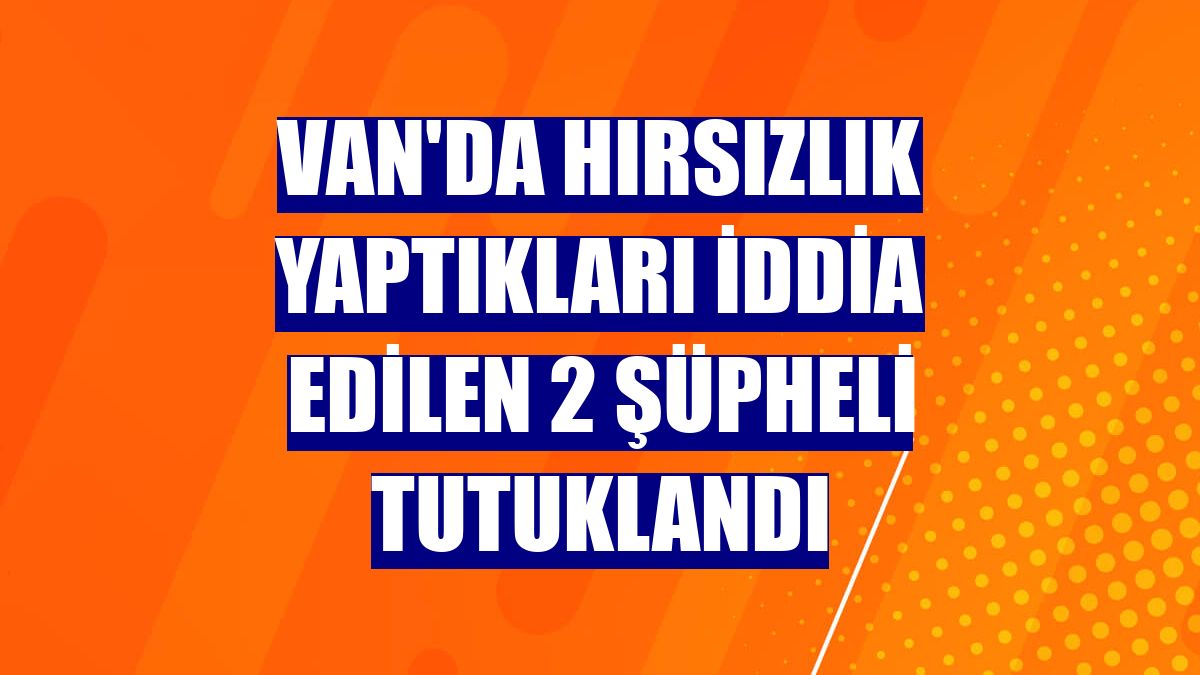 Van'da hırsızlık yaptıkları iddia edilen 2 şüpheli tutuklandı