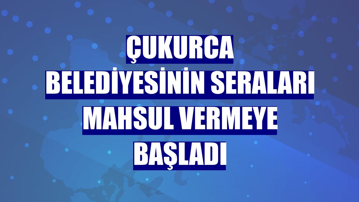 Çukurca Belediyesinin seraları mahsul vermeye başladı