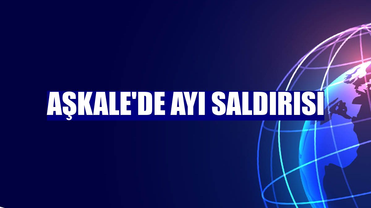 Aşkale'de ayı saldırısı