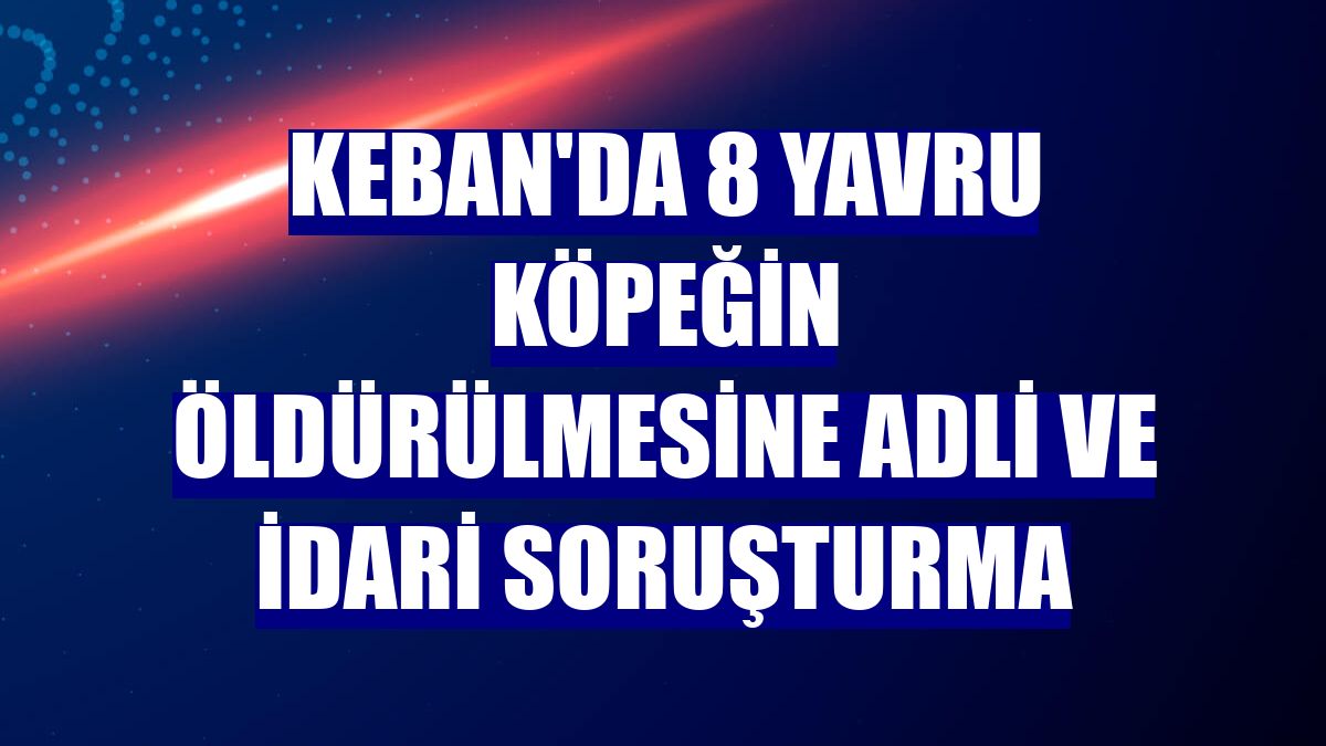 Keban'da 8 yavru köpeğin öldürülmesine adli ve idari soruşturma
