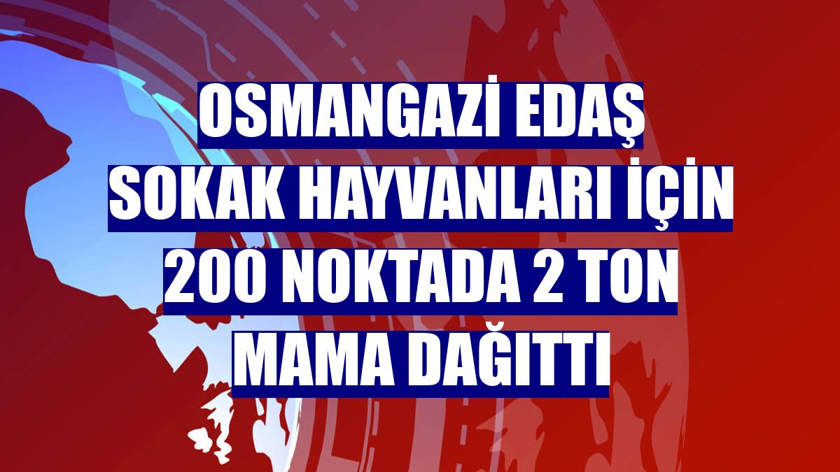 Osmangazi EDAŞ sokak hayvanları için 200 noktada 2 ton mama dağıttı