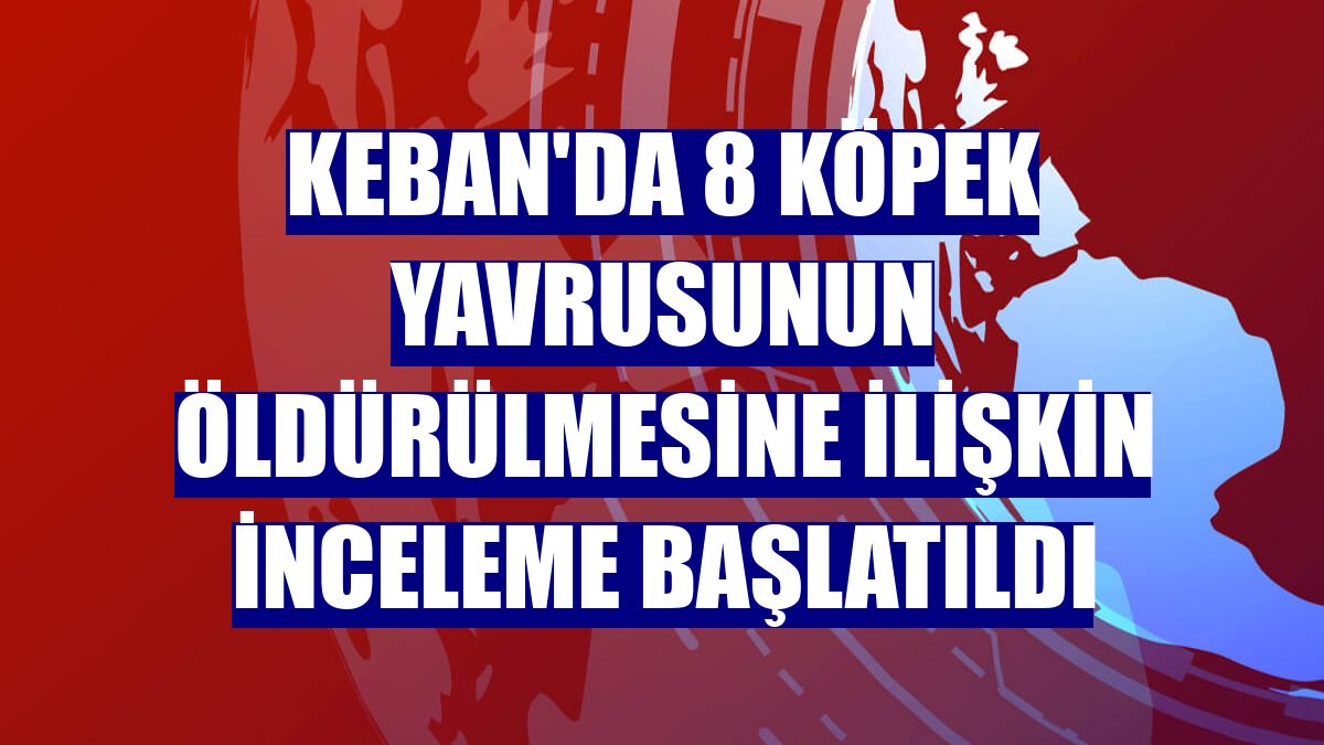 Keban'da 8 köpek yavrusunun öldürülmesine ilişkin inceleme başlatıldı