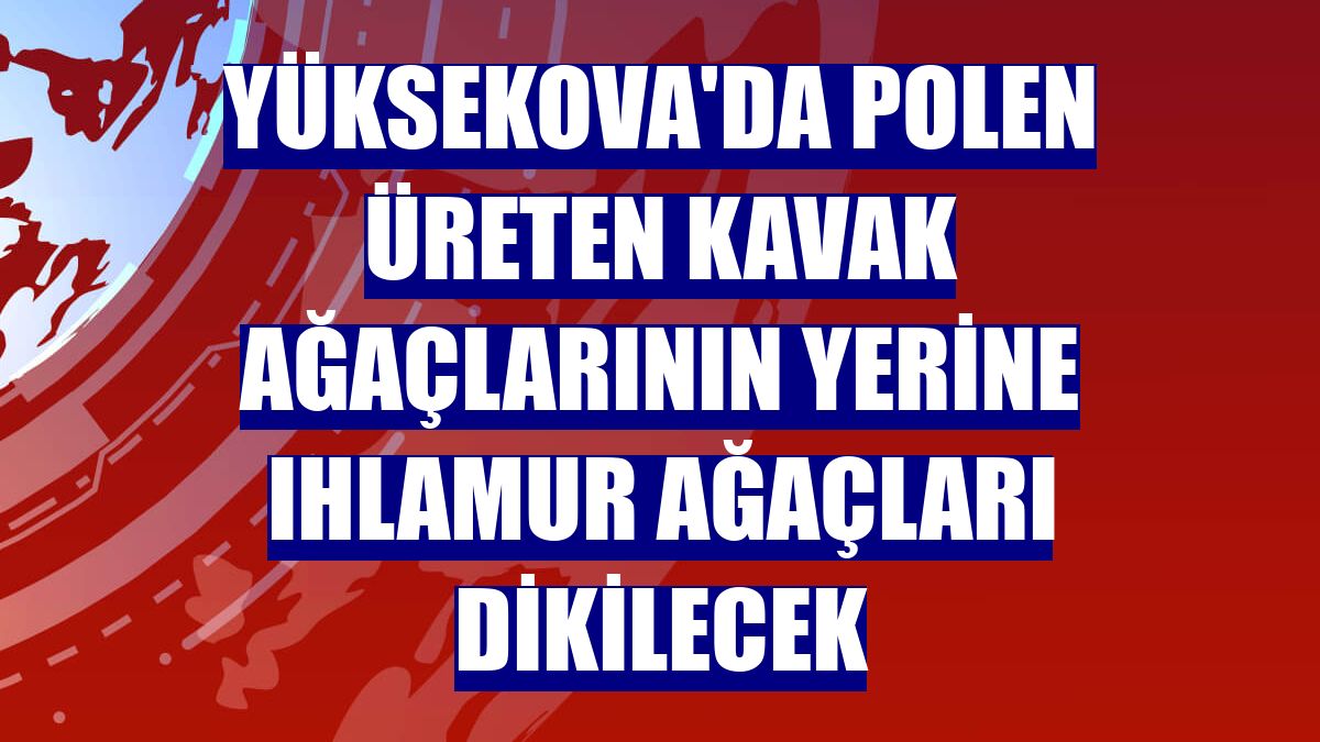 Yüksekova'da polen üreten kavak ağaçlarının yerine ıhlamur ağaçları dikilecek