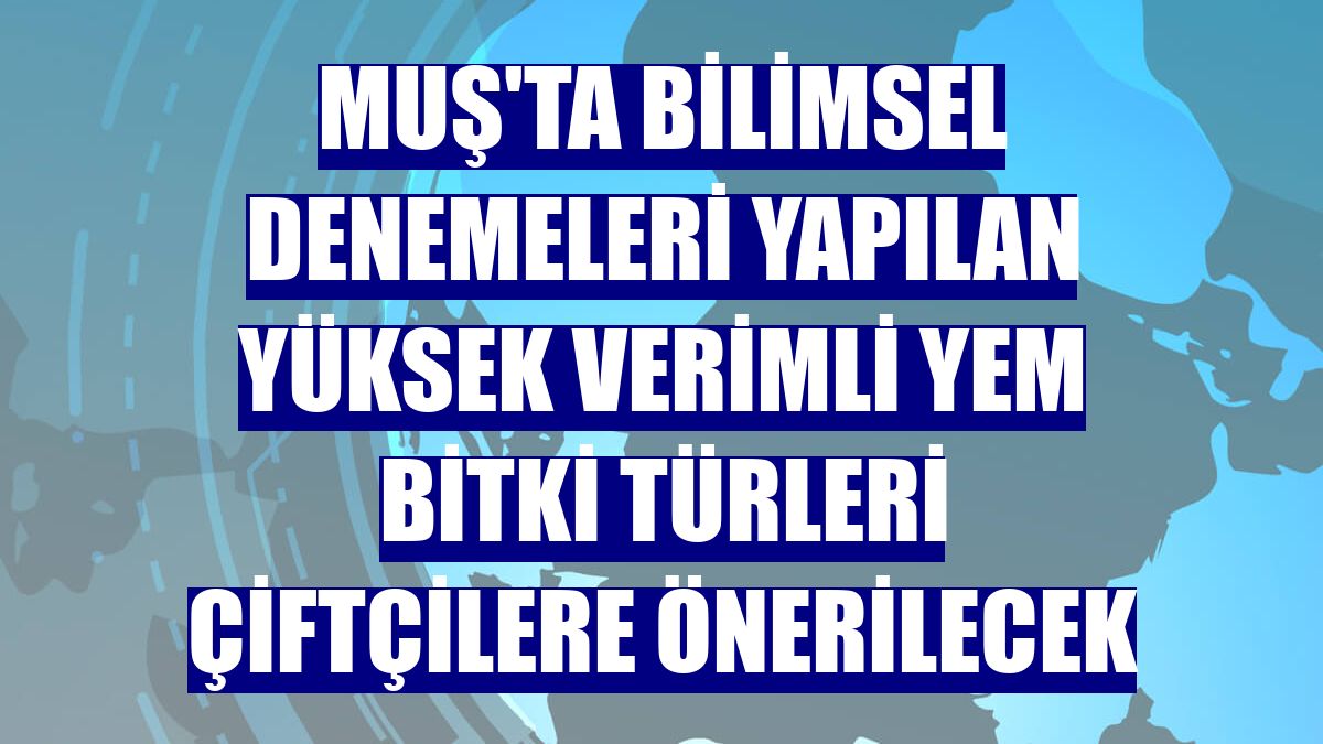 Muş'ta bilimsel denemeleri yapılan yüksek verimli yem bitki türleri çiftçilere önerilecek