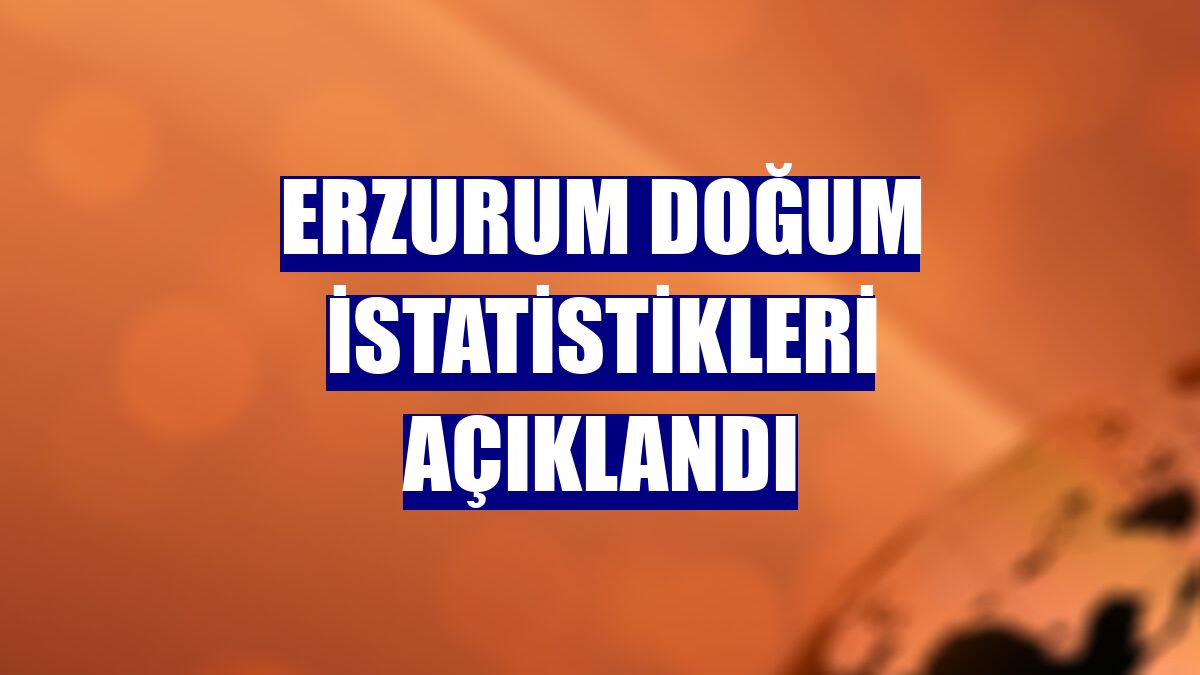 Erzurum Doğum istatistikleri açıklandı