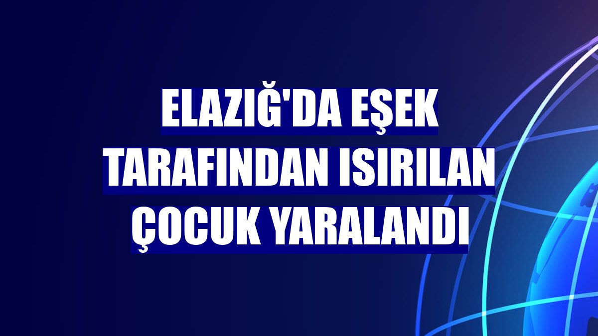 Elazığ'da eşek tarafından ısırılan çocuk yaralandı