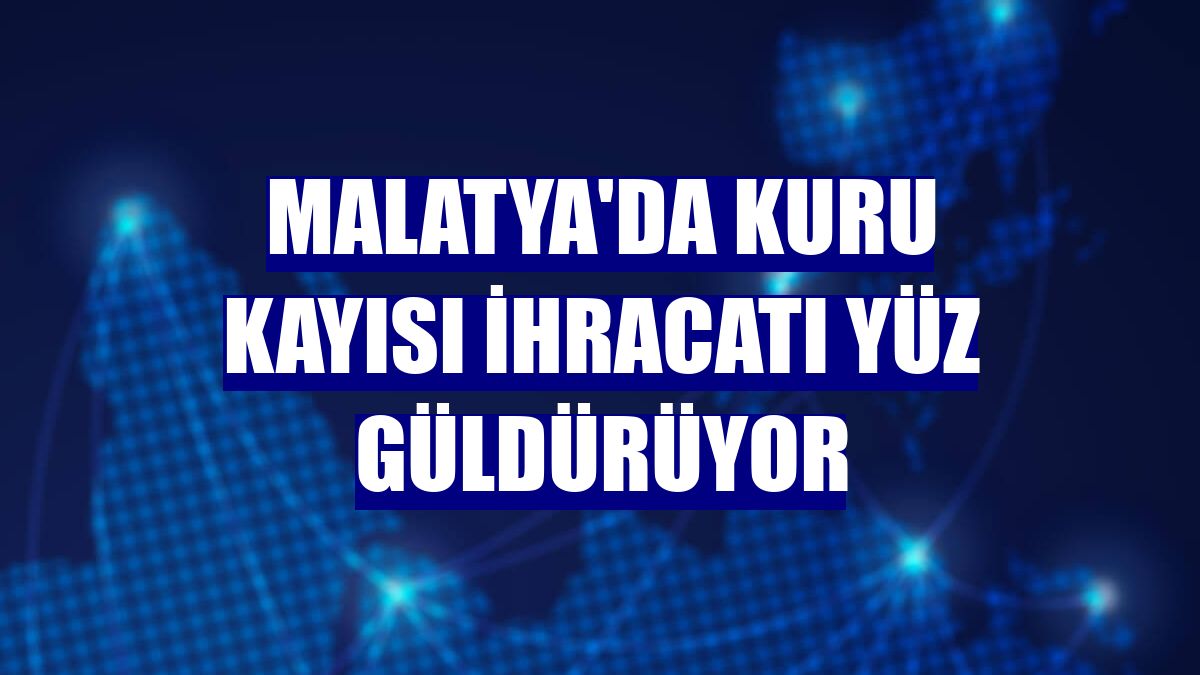 Malatya'da kuru kayısı ihracatı yüz güldürüyor