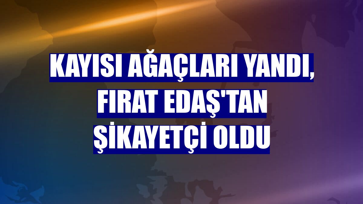 Kayısı ağaçları yandı, Fırat EDAŞ'tan şikayetçi oldu