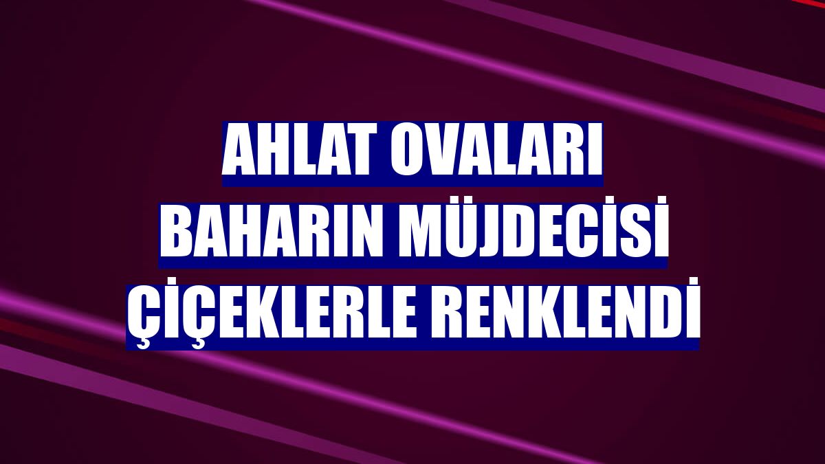 Ahlat ovaları baharın müjdecisi çiçeklerle renklendi