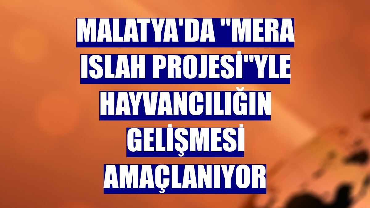 Malatya'da "mera ıslah projesi"yle hayvancılığın gelişmesi amaçlanıyor