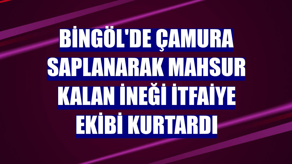 Bingöl'de çamura saplanarak mahsur kalan ineği itfaiye ekibi kurtardı