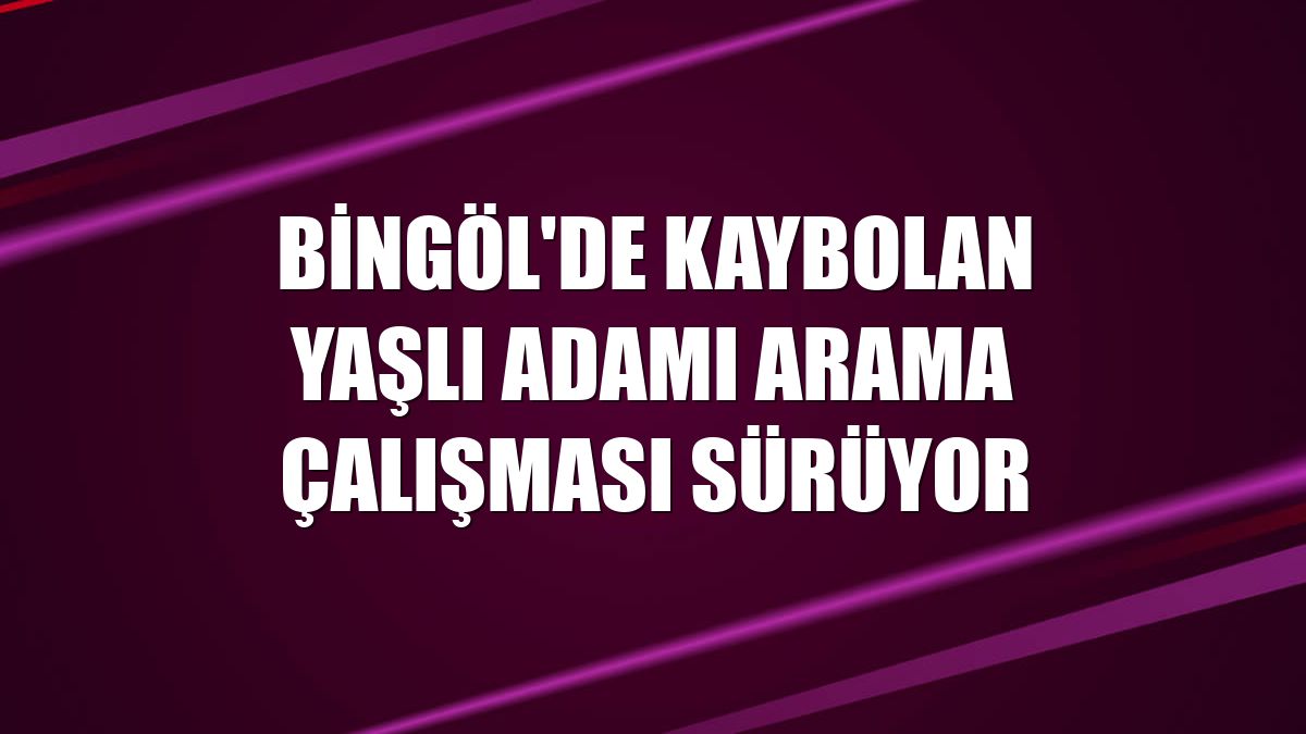 Bingöl'de kaybolan yaşlı adamı arama çalışması sürüyor