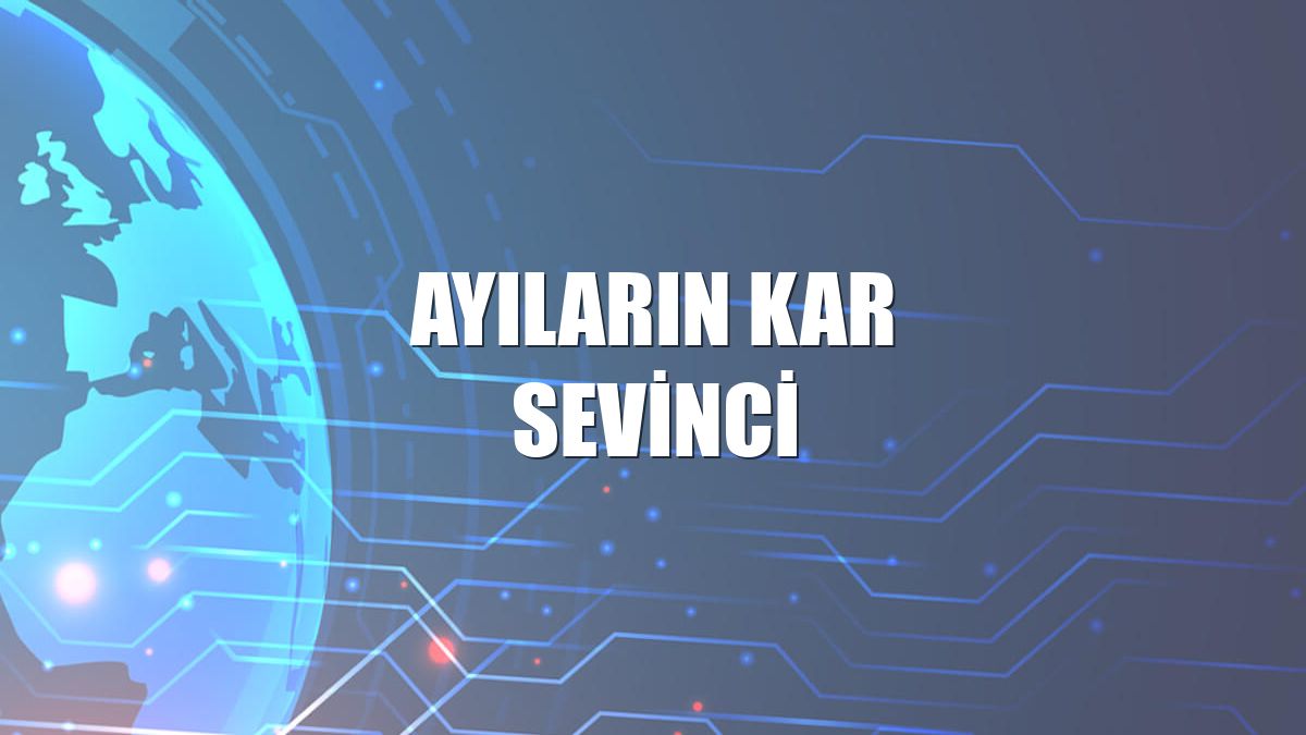 Ayıların kar sevinci