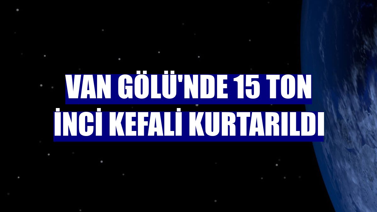 Van Gölü'nde 15 ton inci kefali kurtarıldı