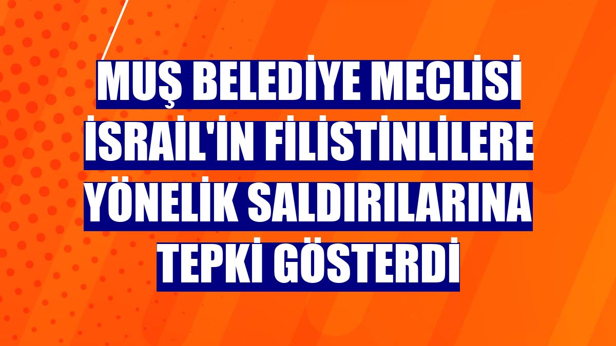 Muş Belediye Meclisi İsrail'in Filistinlilere yönelik saldırılarına tepki gösterdi