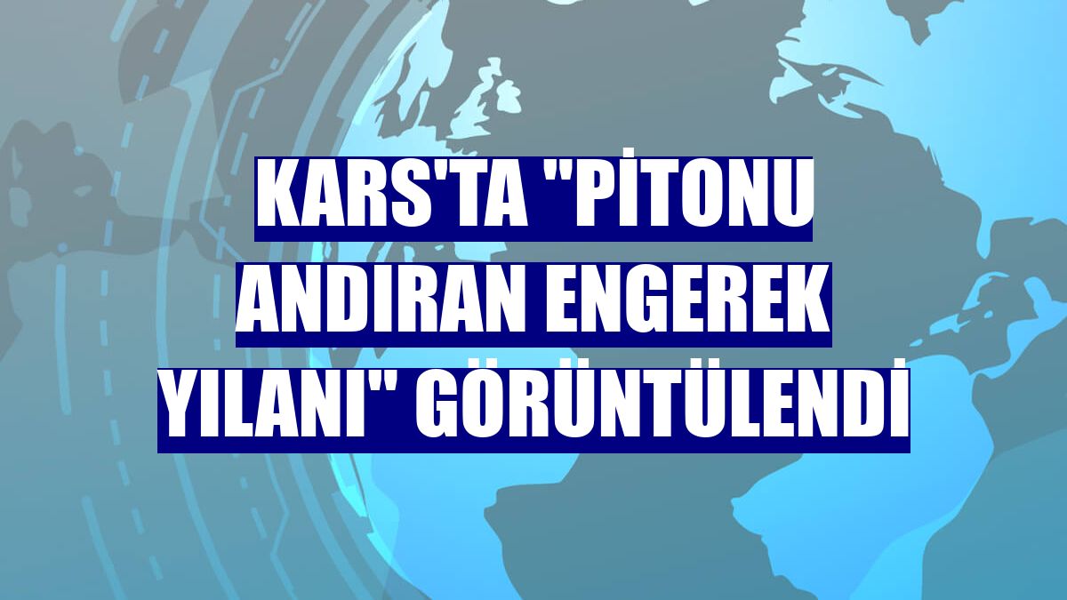Kars'ta "pitonu andıran engerek yılanı" görüntülendi