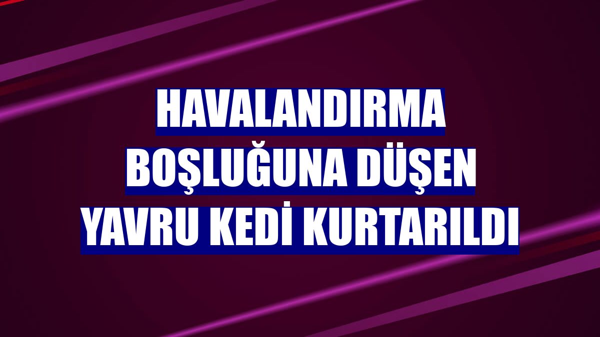 Havalandırma boşluğuna düşen yavru kedi kurtarıldı