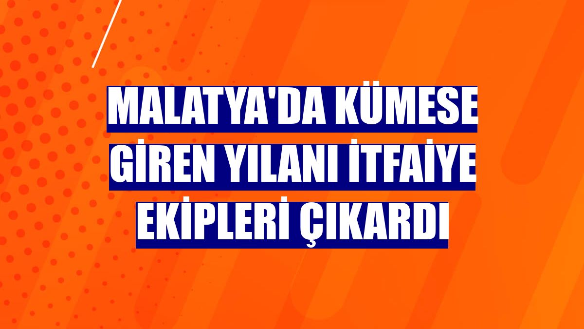 Malatya'da kümese giren yılanı itfaiye ekipleri çıkardı