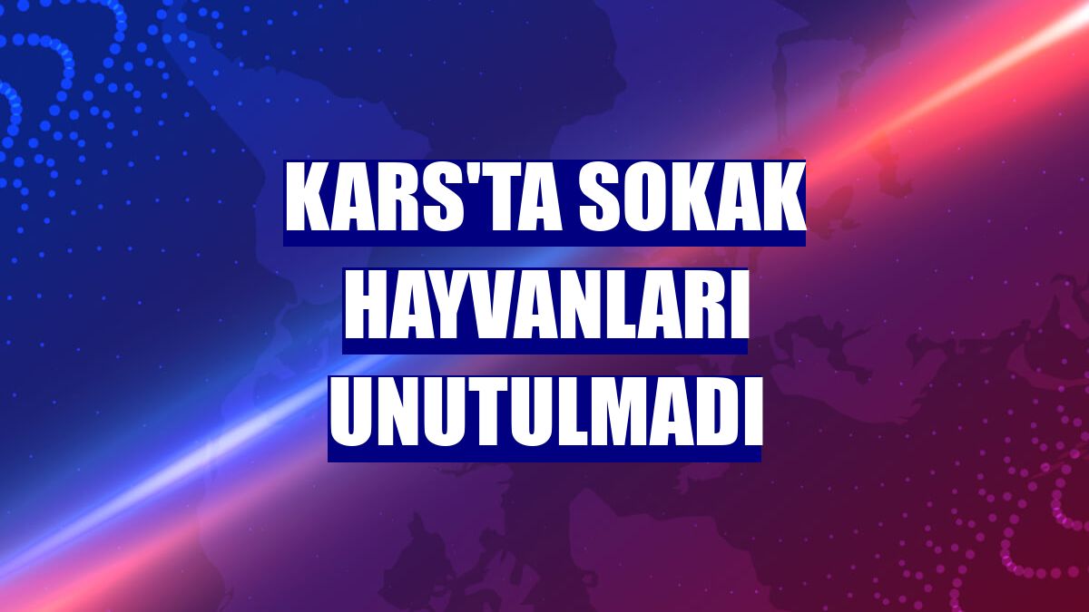 Kars'ta sokak hayvanları unutulmadı