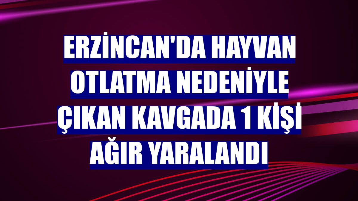 Erzincan'da hayvan otlatma nedeniyle çıkan kavgada 1 kişi ağır yaralandı