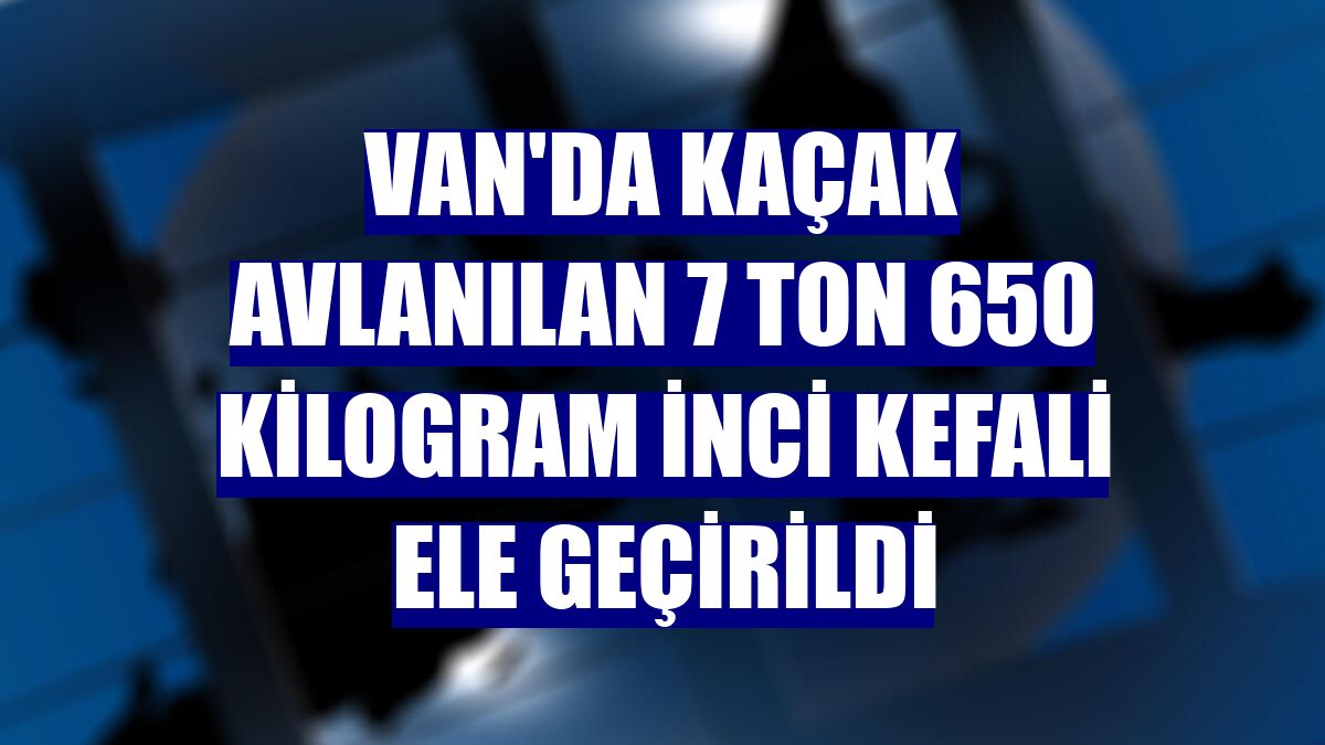 Van'da kaçak avlanılan 7 ton 650 kilogram inci kefali ele geçirildi