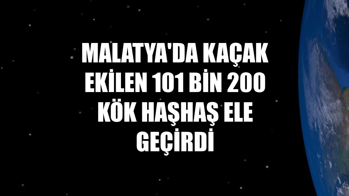 Malatya'da kaçak ekilen 101 bin 200 kök haşhaş ele geçirdi