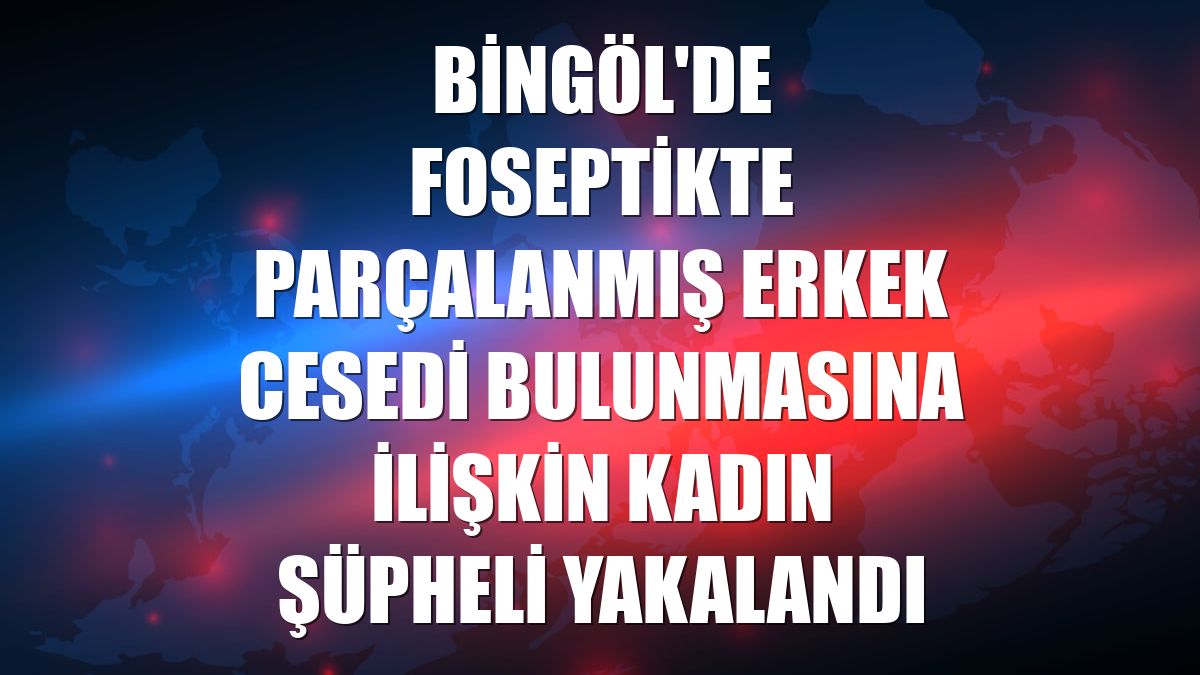 Bingöl'de foseptikte parçalanmış erkek cesedi bulunmasına ilişkin kadın şüpheli yakalandı