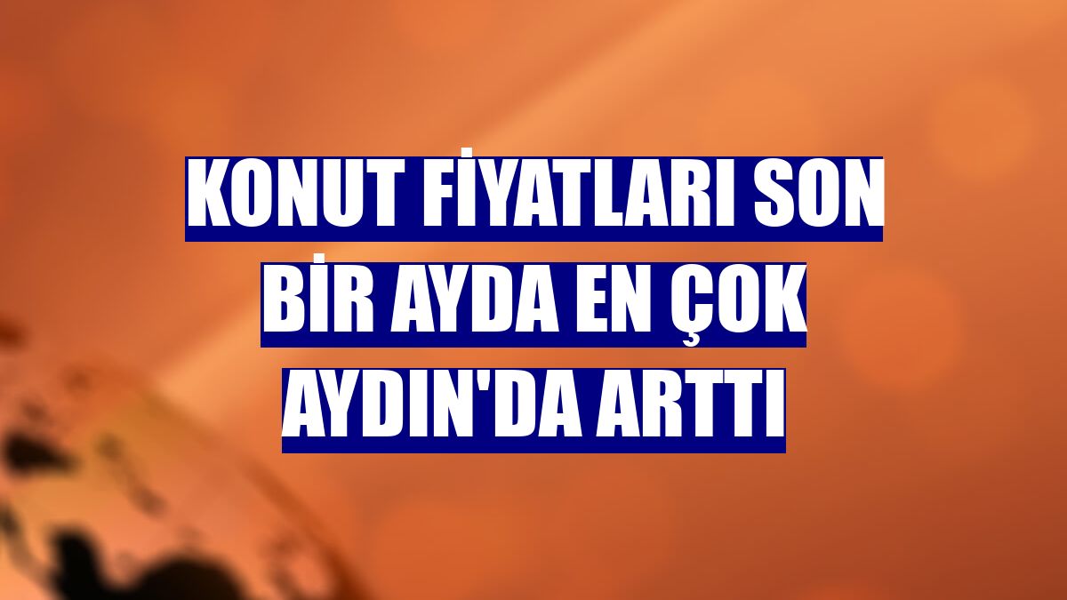 Konut fiyatları son bir ayda en çok Aydın'da arttı