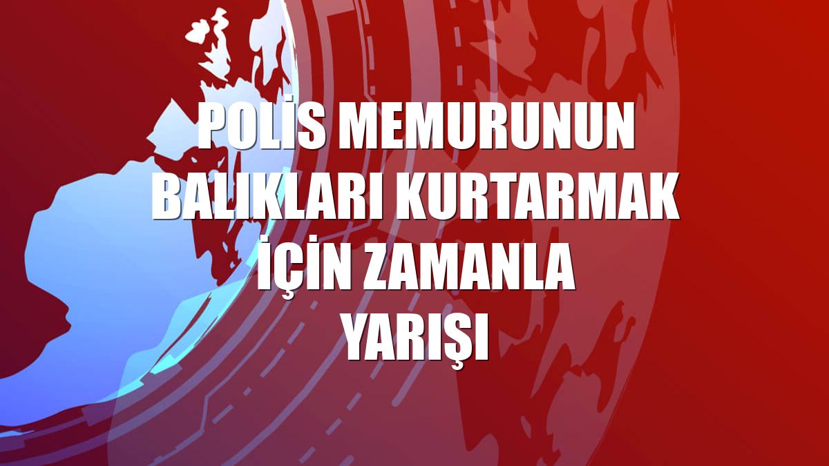 Polis memurunun balıkları kurtarmak için zamanla yarışı