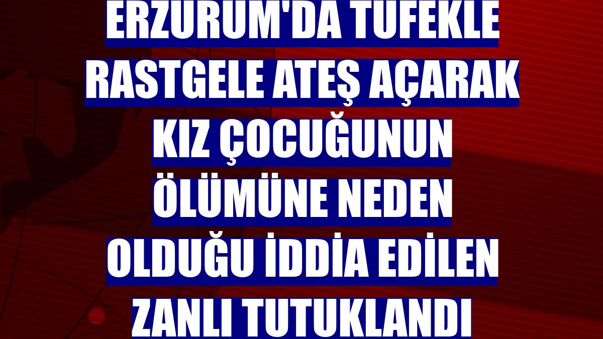 Erzurum'da tüfekle rastgele ateş açarak kız çocuğunun ölümüne neden olduğu iddia edilen zanlı tutuklandı