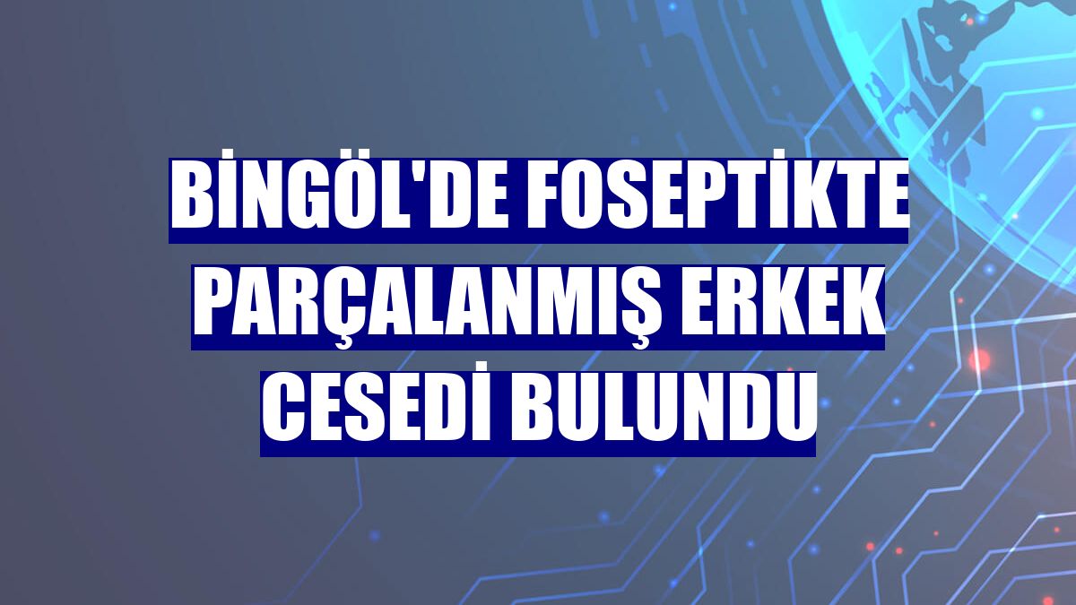 Bingöl'de foseptikte parçalanmış erkek cesedi bulundu