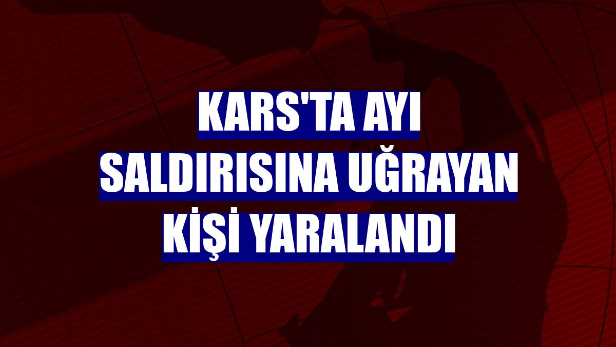 Kars'ta ayı saldırısına uğrayan kişi yaralandı