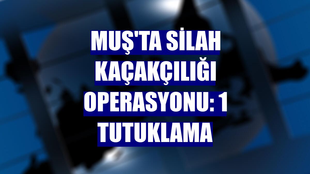 Muş'ta silah kaçakçılığı operasyonu: 1 tutuklama