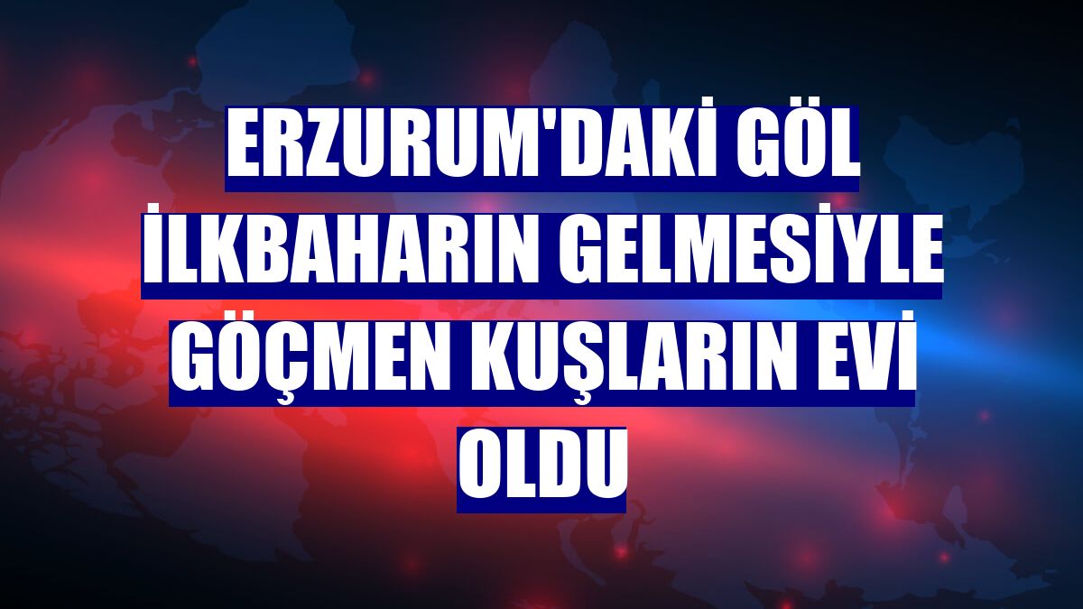 Erzurum'daki göl ilkbaharın gelmesiyle göçmen kuşların evi oldu