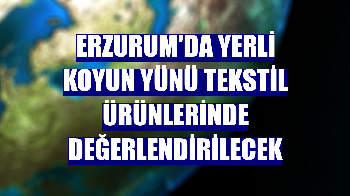 Erzurum'da yerli koyun yünü tekstil ürünlerinde değerlendirilecek