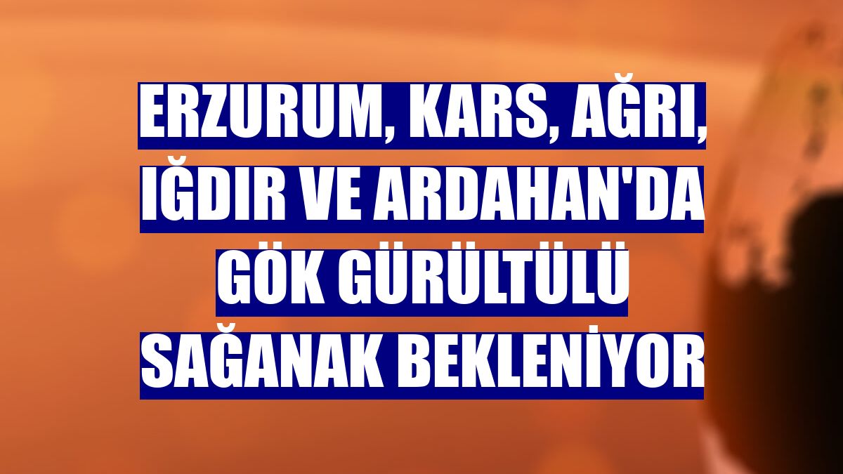 Erzurum, Kars, Ağrı, Iğdır ve Ardahan'da gök gürültülü sağanak bekleniyor