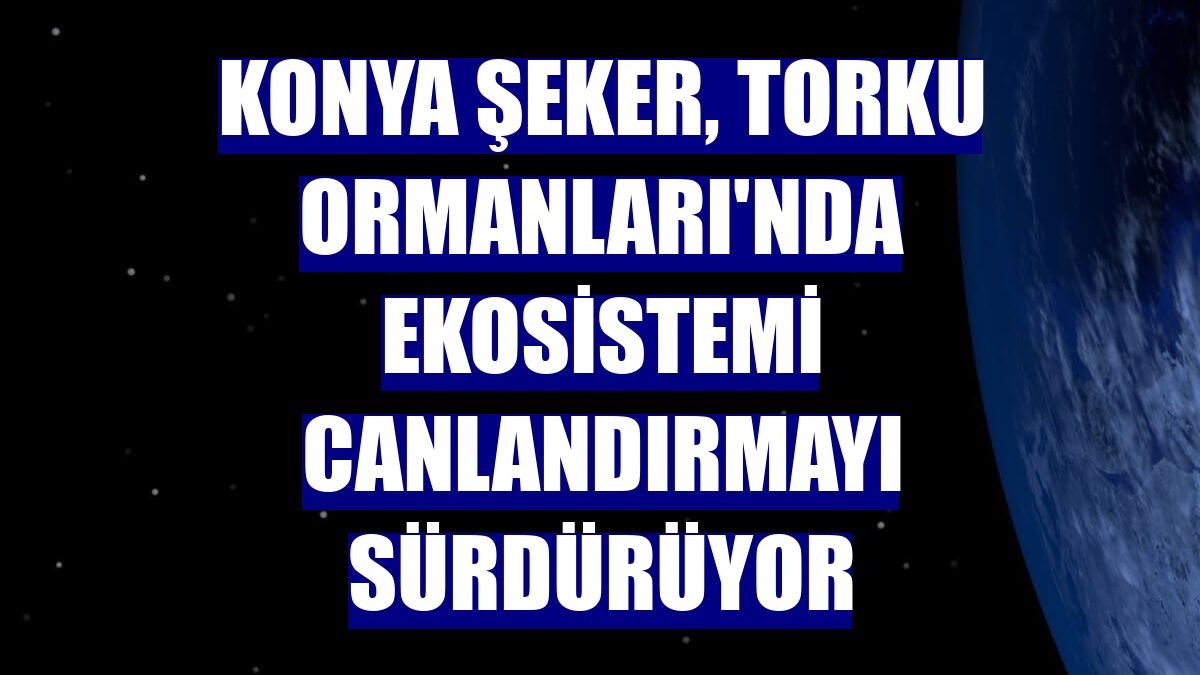 Konya Şeker, Torku Ormanları'nda ekosistemi canlandırmayı sürdürüyor