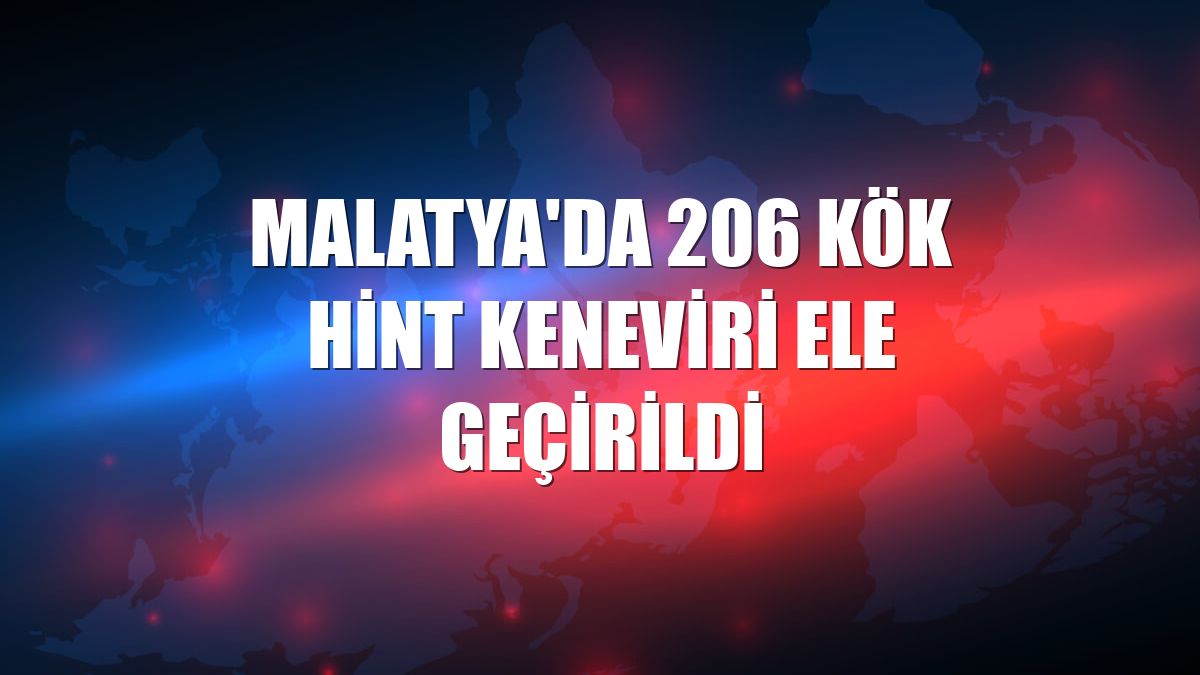 Malatya'da 206 kök Hint keneviri ele geçirildi