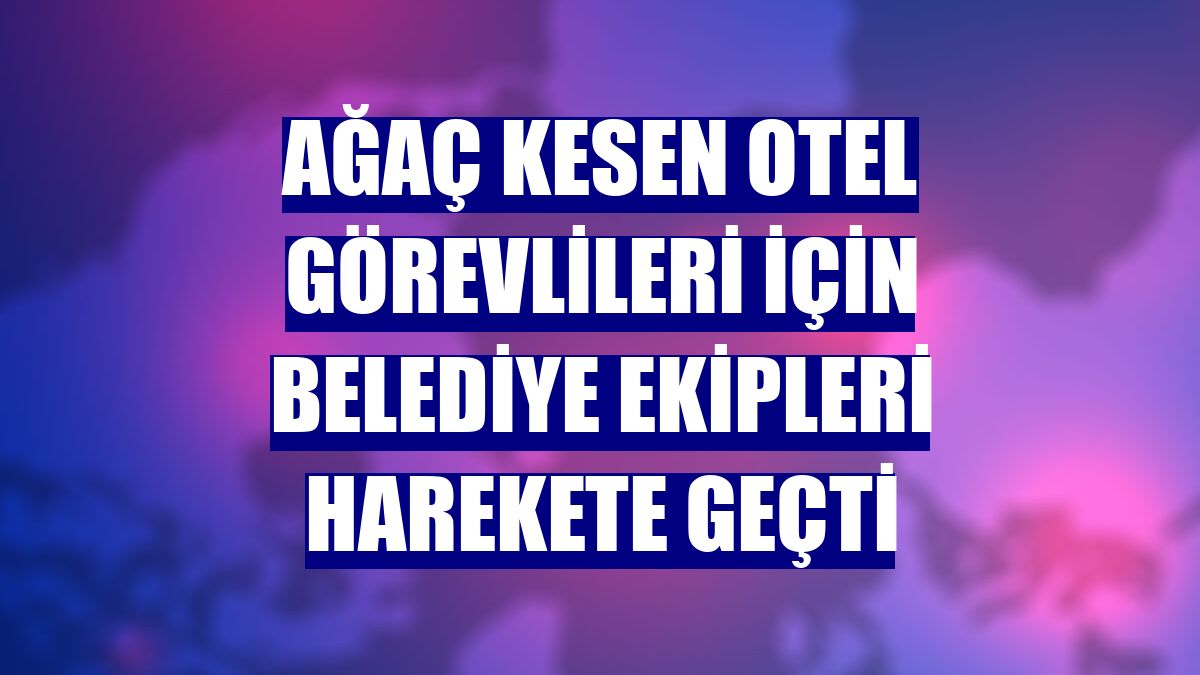 Ağaç kesen otel görevlileri için belediye ekipleri harekete geçti