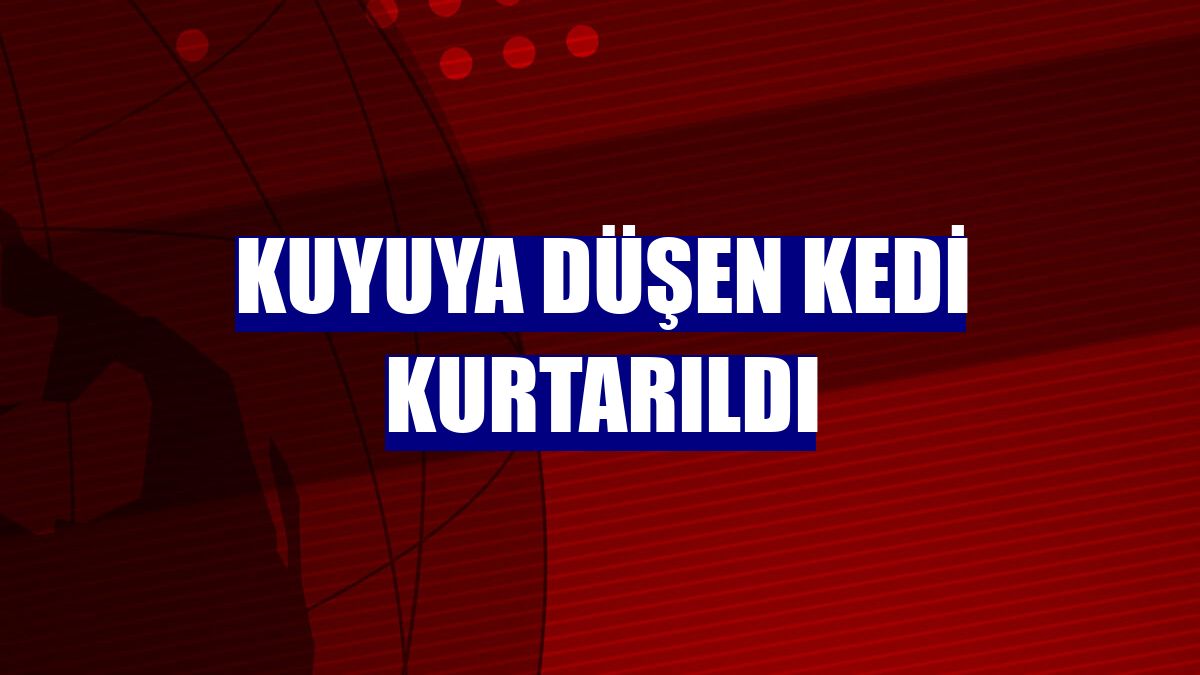 Kuyuya düşen kedi kurtarıldı