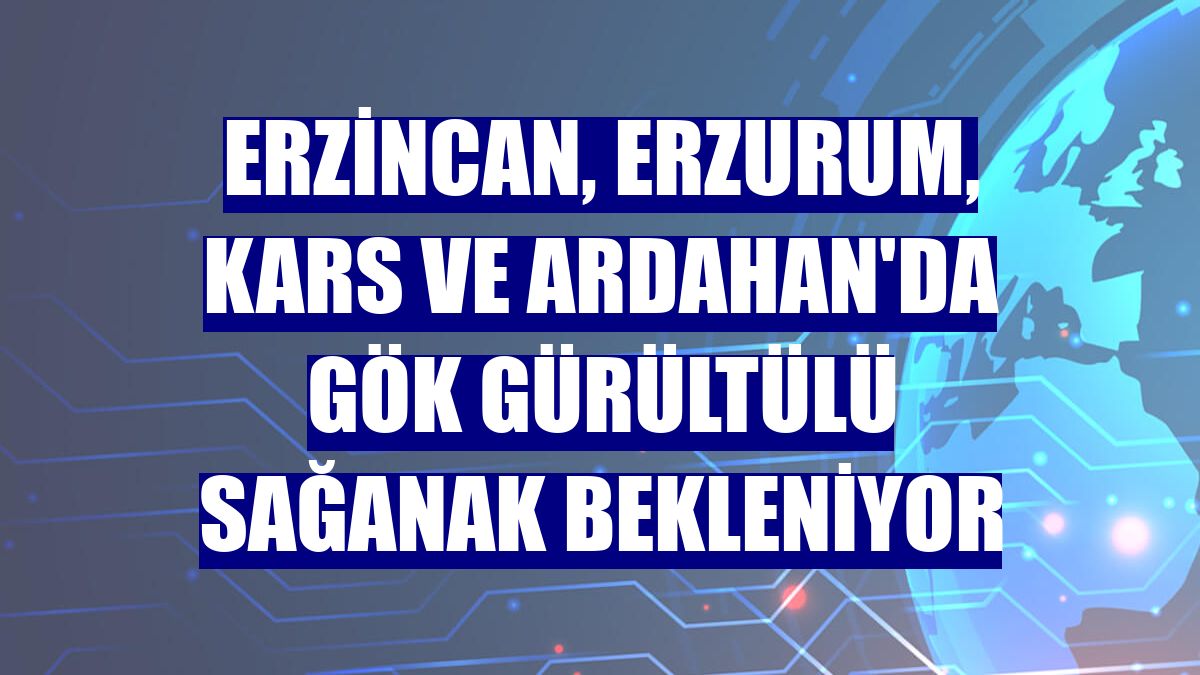 Erzincan, Erzurum, Kars ve Ardahan'da gök gürültülü sağanak bekleniyor