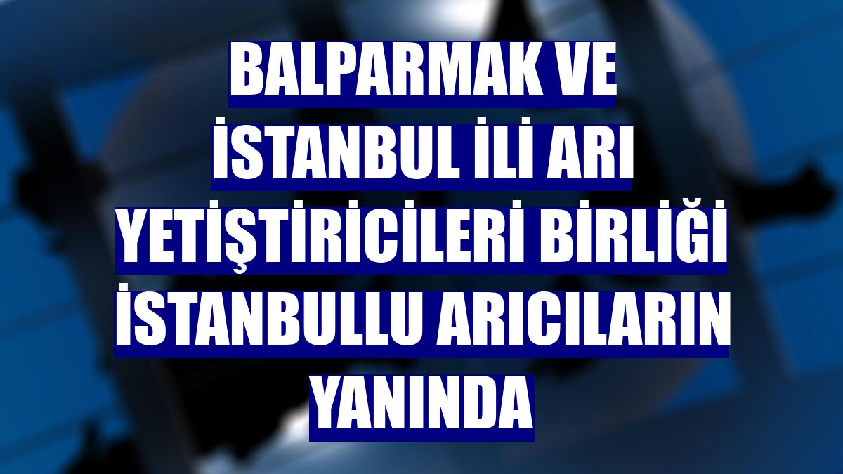 Balparmak ve İstanbul İli Arı Yetiştiricileri Birliği İstanbullu arıcıların yanında